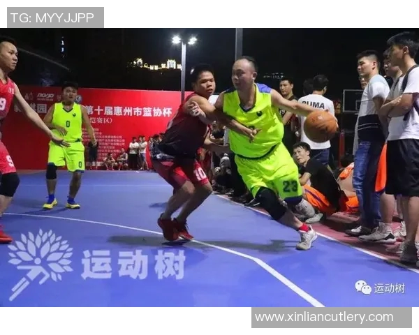 南京羽毛球队的战术解析与阵地战深度剖析