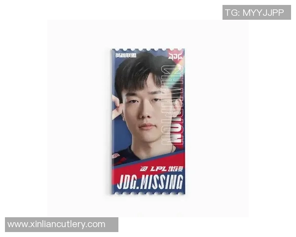 深入分析JDG战队反击打法的策略与执行细节