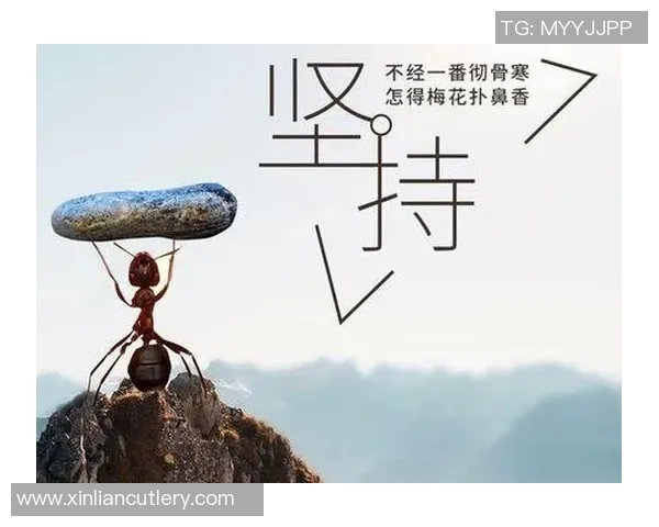 麦卡利斯特的传奇之路：从平凡到辉煌的奋斗故事与人生启示