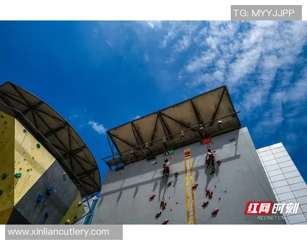 赛后复盘上海攀岩队与南京攀岩队状态对比分析与启示