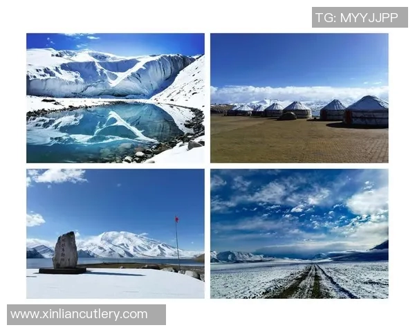 鸟栖与太阳神的对决探索自然与神话交织的奇妙世界