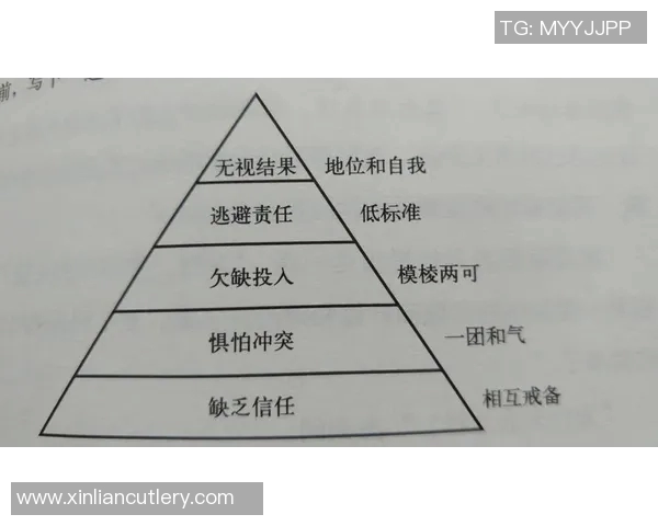 北京篮球队的比赛经验探讨与分析：从战术到团队协作的全面解读MBA