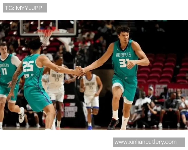 2016年NBA季后赛黄蜂与热火激战回顾精彩瞬间与关键时刻分析