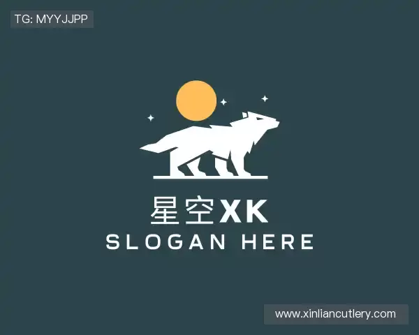 介绍xk星空集团